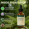 Lymphatic Support Herbal Drops