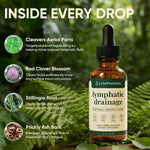 Lymphatic Support Herbal Drops