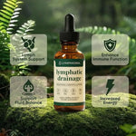 Lymphatic Support Herbal Drops