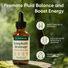 Lymphatic Support Herbal Drops