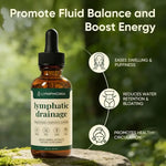 Lymphatic Support Herbal Drops